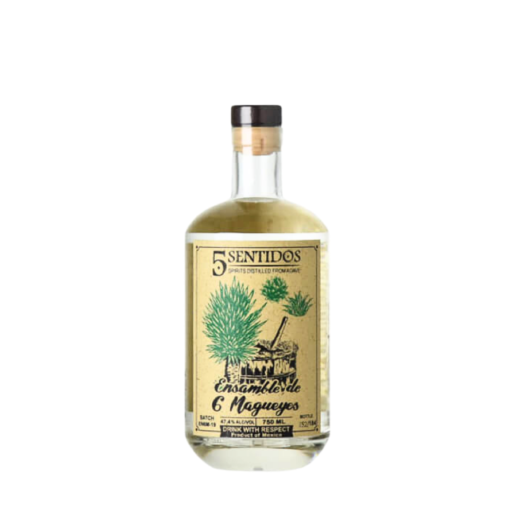 Cinco Sentidos Ensamble de 6 - Javier Vasquez Lucas